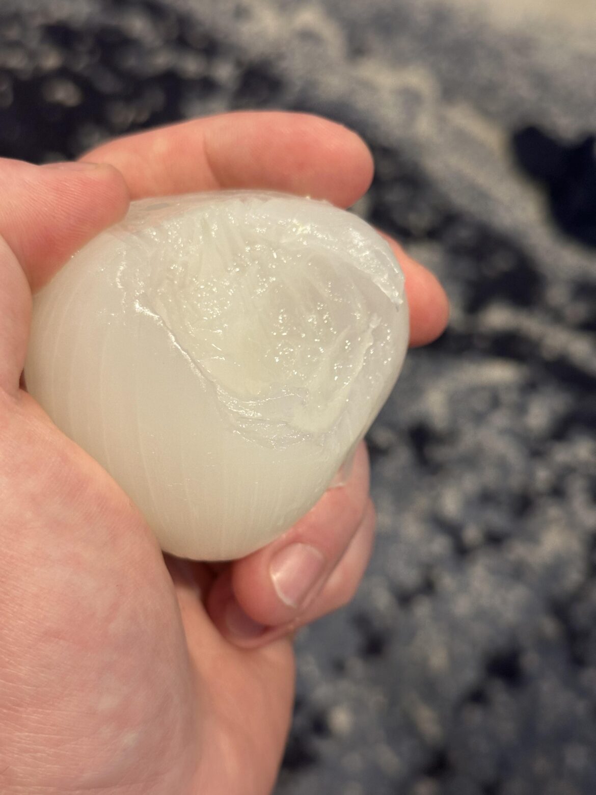 Whole picked onion from a local hotdog stand. It was delicious.