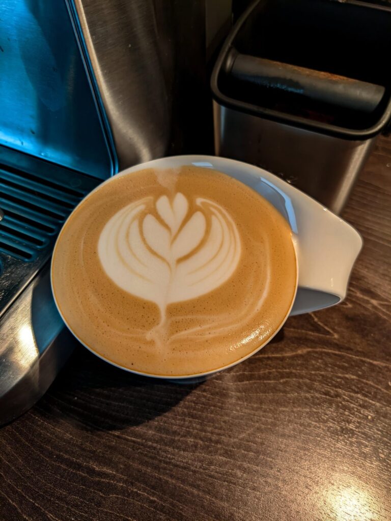 The progress in a year