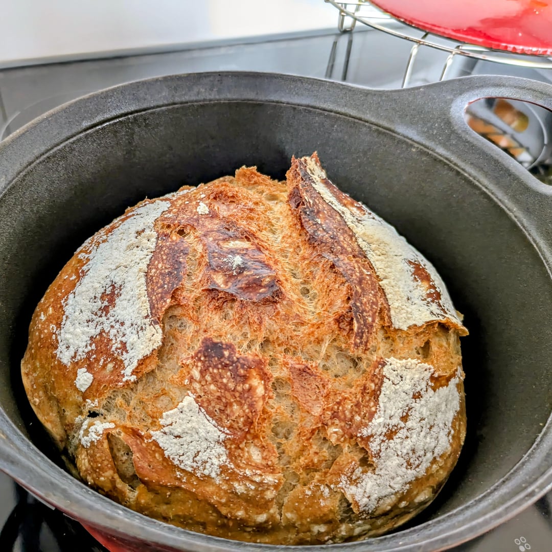 Decided to try out my newly thrifted dutch oven, and I'm very happy