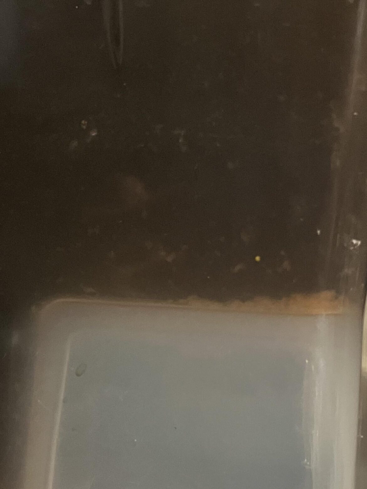 I need help with coffee