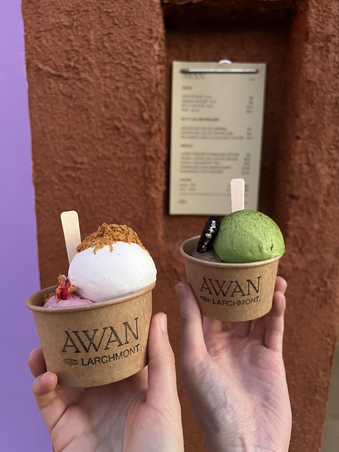 Coconut based ice cream