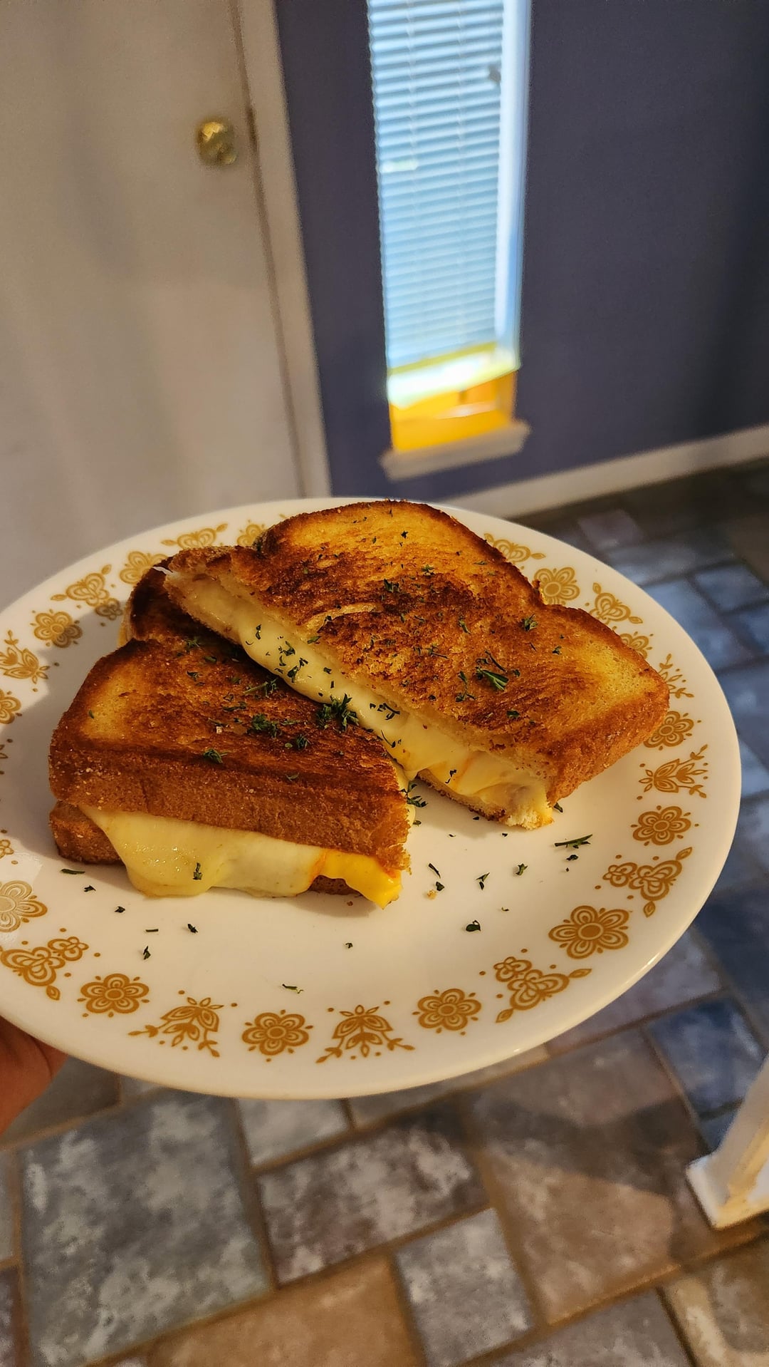 Swiss, Muenster and American cheeses on English toasting bread