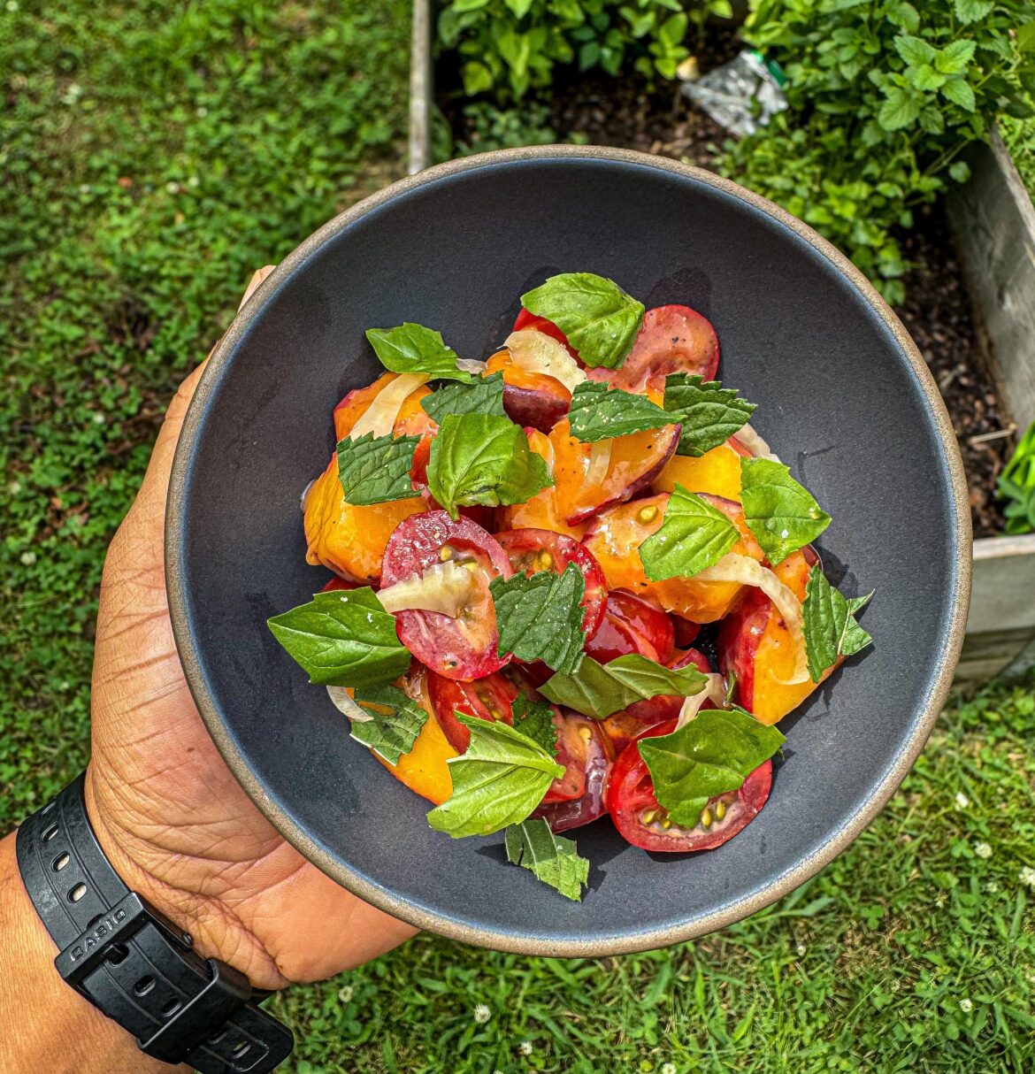 Georgia Peach, Tomato, Peach Tomato Vin, Pickled Fennel, Herbs