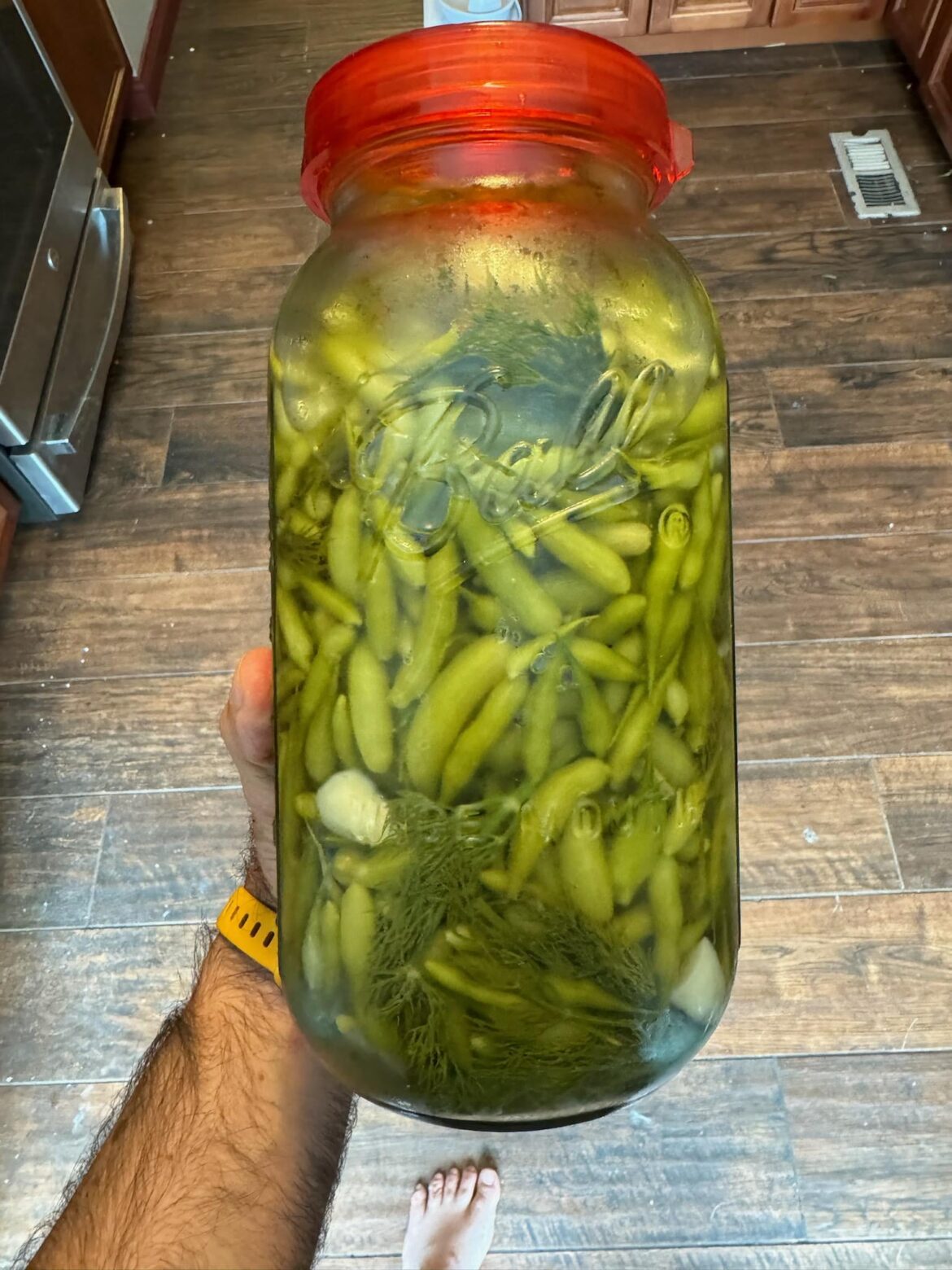 Pickled radish pods and garlic from my garden.