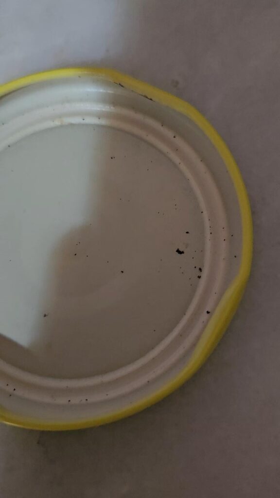Is this bacteria or just dirt
