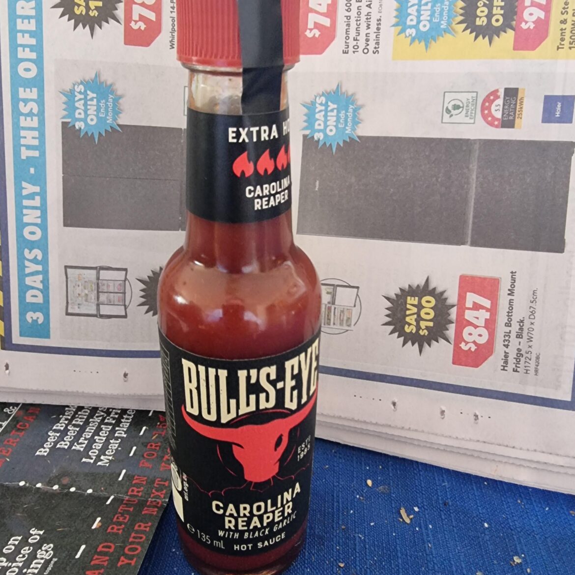 Has anyone tried this before ?