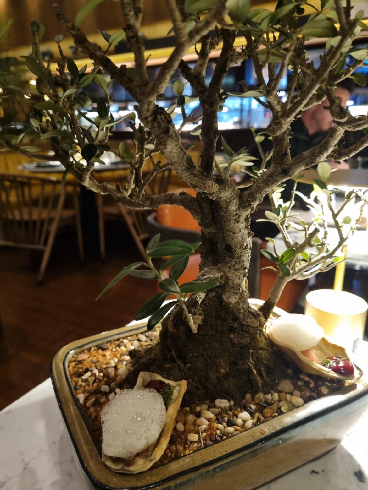 Appetiser on a bonsai