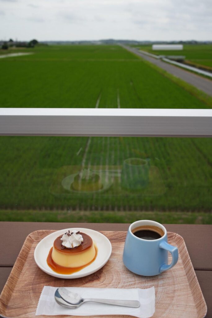 Landscape of rice field