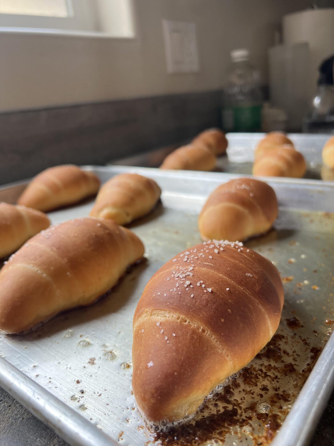 I made 소금빵 (sogeum-ppang)!