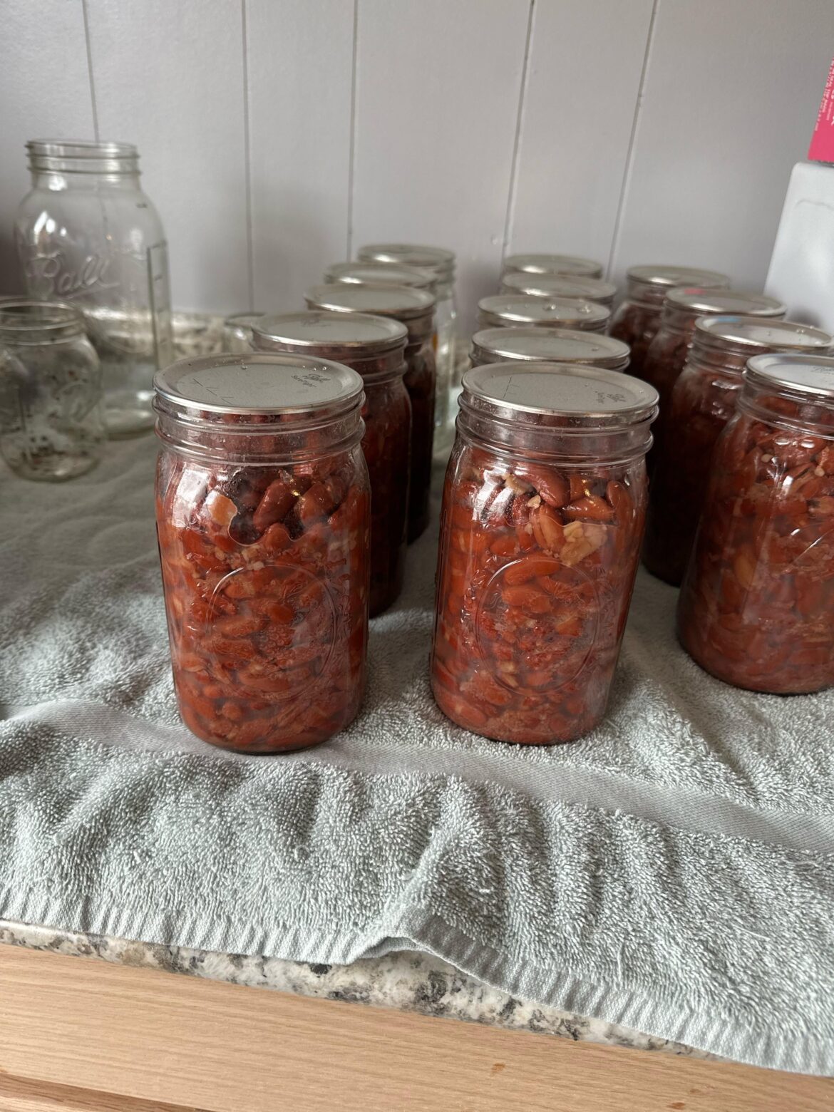 Canned Kidney Beans Canned Kidney Beans