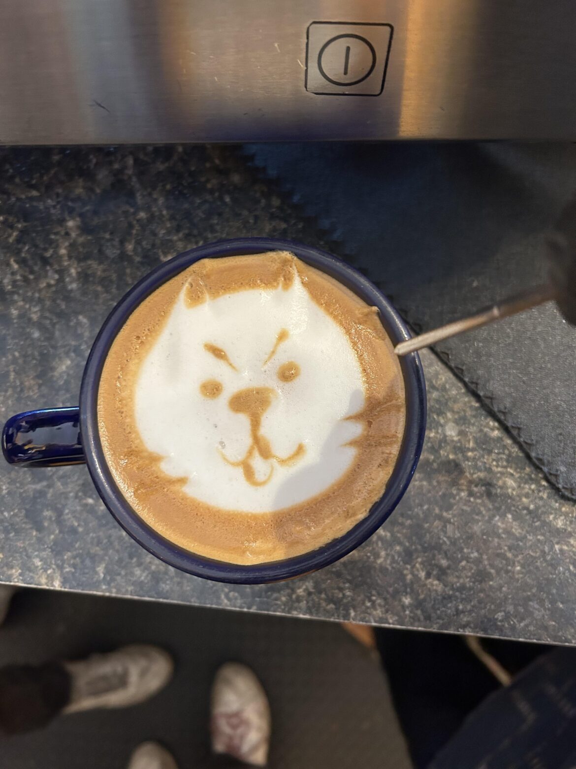 The people yearn for the cattachino