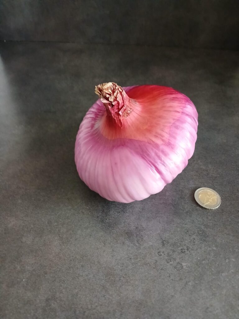 Bought this bad boy. Thinking about making a blooming onion out of it.