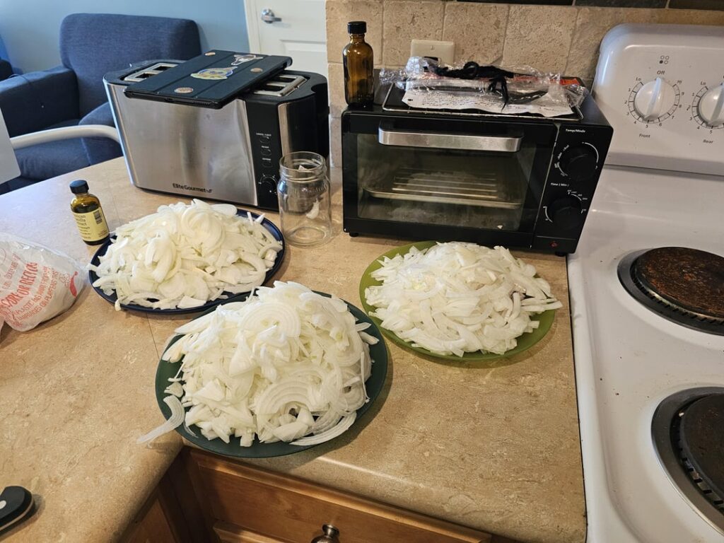 Friend told me he never had French onion soup before, so of course I had to fix that.