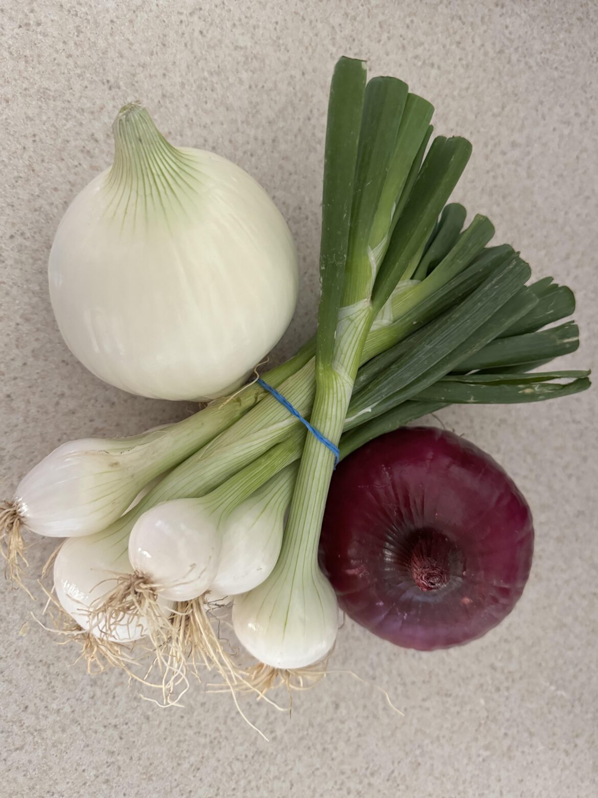 I visited the Amish today and came home with some onions