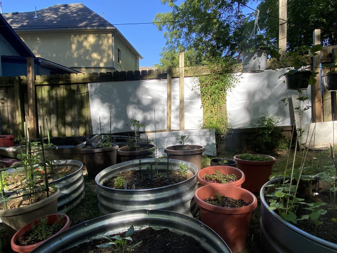 Decided to hang some reflective wrap to squeeze every bit of sunlight out of my backyard garden Decided to hang some reflective wrap to squeeze every bit of sunlight out of my backyard garden