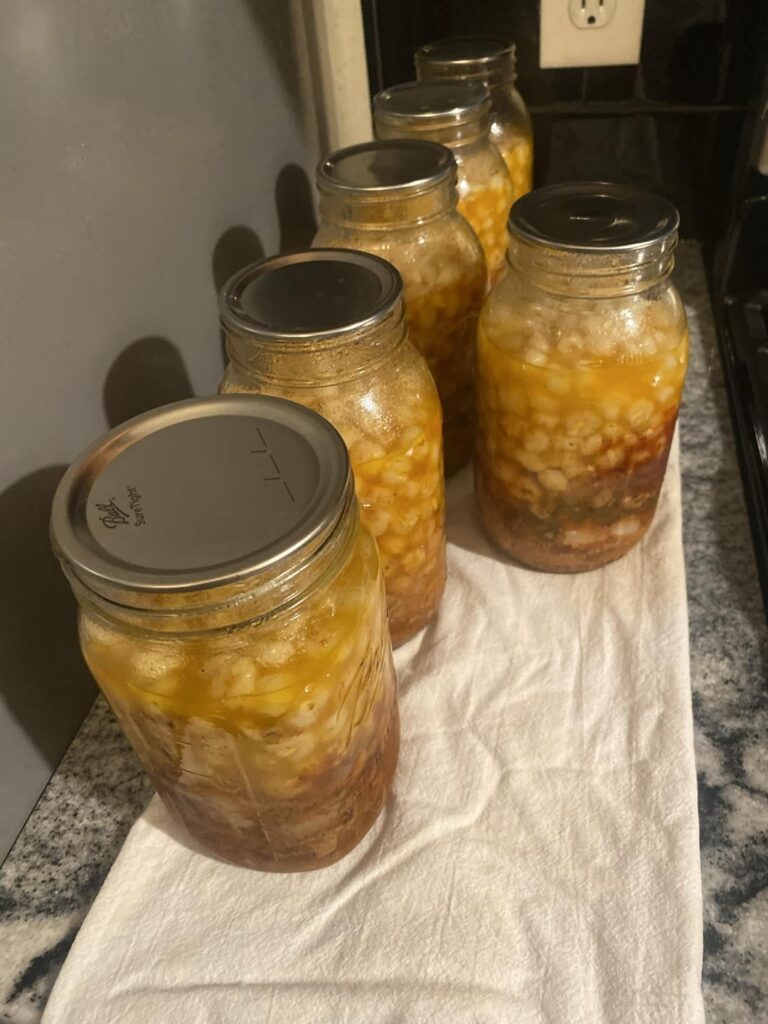 Canning recipe safe? Canning recipe safe?