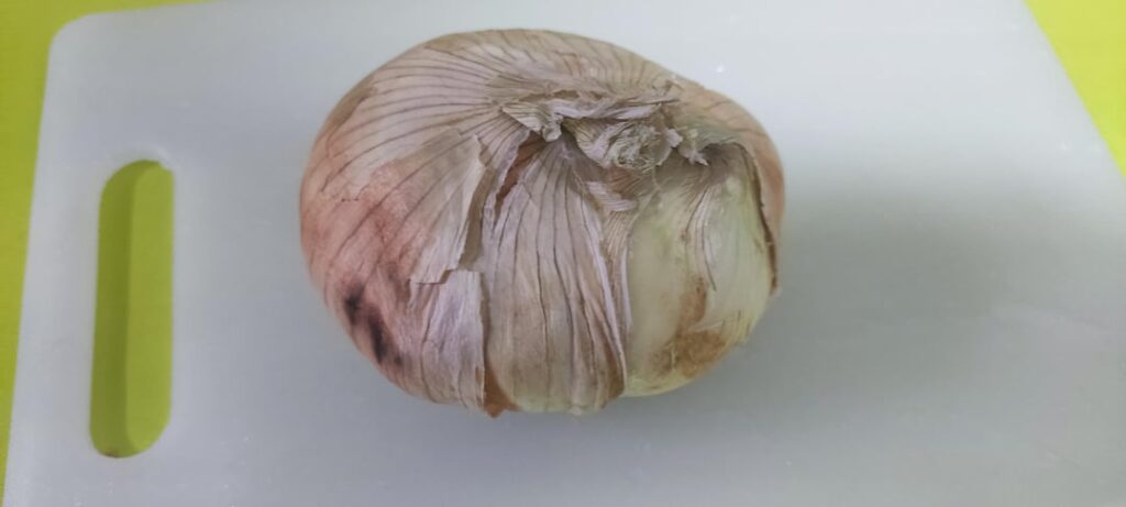 I bought this strange shaped onion, and it turned out it was 2 in 1