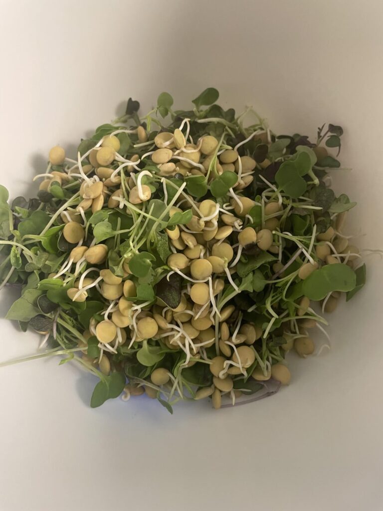 Satisfying raw + protein shake. Only 660.