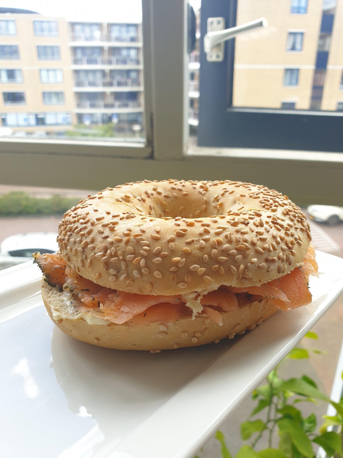 cream cheese salmon bagel
