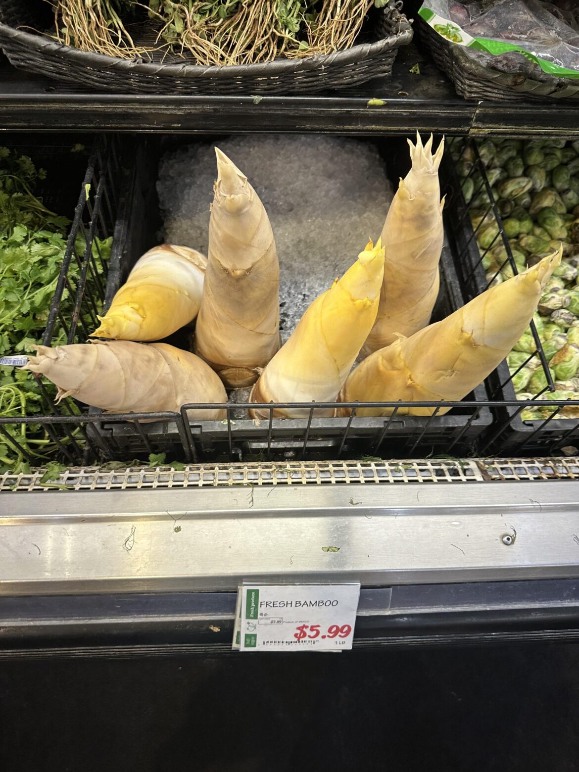 is this really fresh bamboo? is this really fresh bamboo?