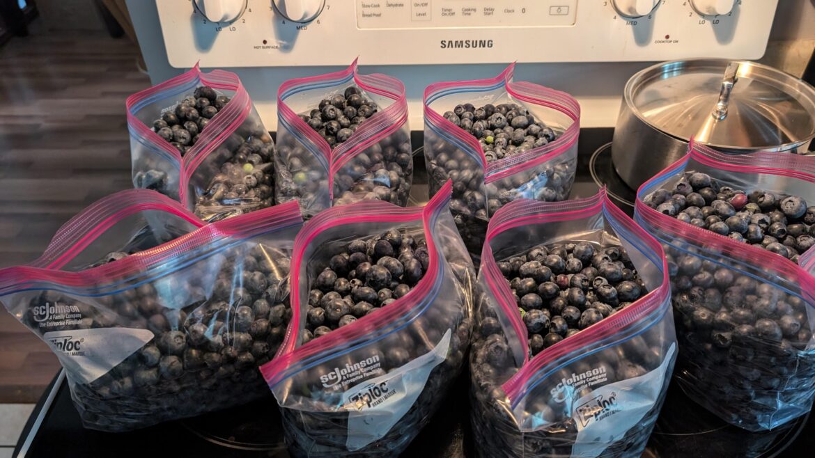 When you live in the berry capital of Canada you're gifted berries all summer. 😍 Aside from jam and freezing what shall I do with these?