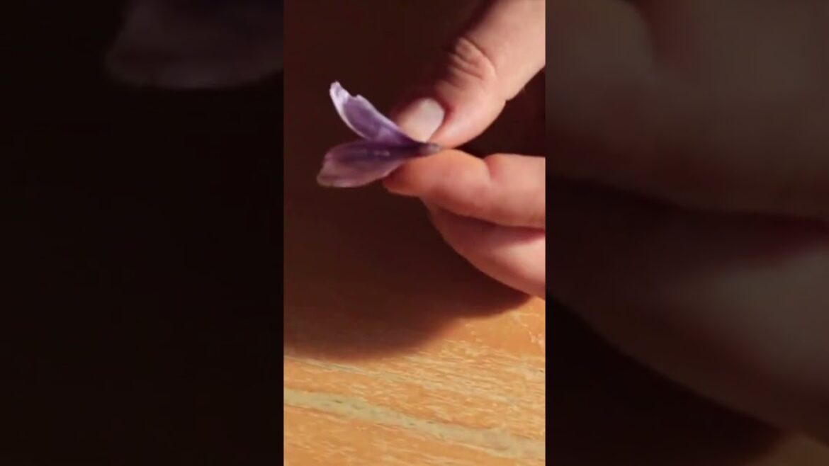 Most expensive ingredients #foodlover #food Most expensive ingredients #foodlover #food