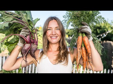 Early morning gardening on the homestead… | Farmhouse Vegetable Garden Early morning gardening on the homestead... | Farmhouse Vegetable Garden