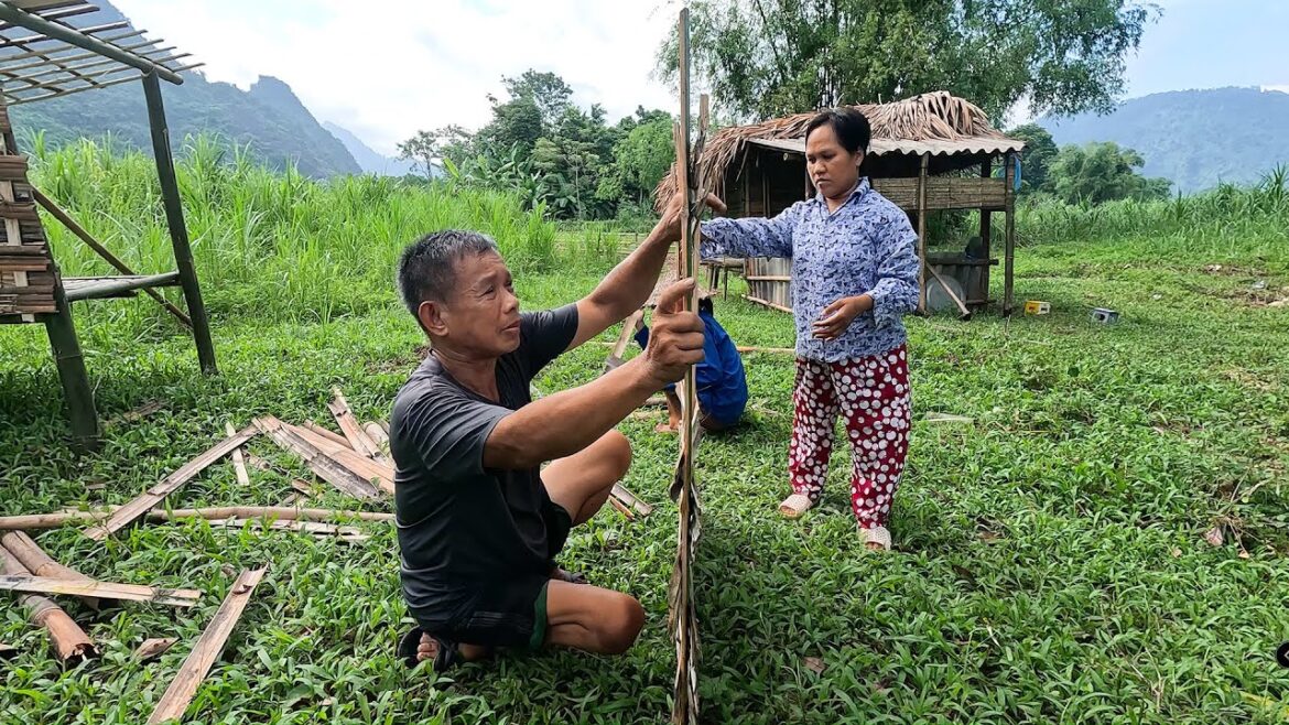Daily life of the disabled family – Vegetable gardening growing vegetables – Make bamboo cupboard Daily life of the disabled family - Vegetable gardening growing vegetables - Make bamboo cupboard