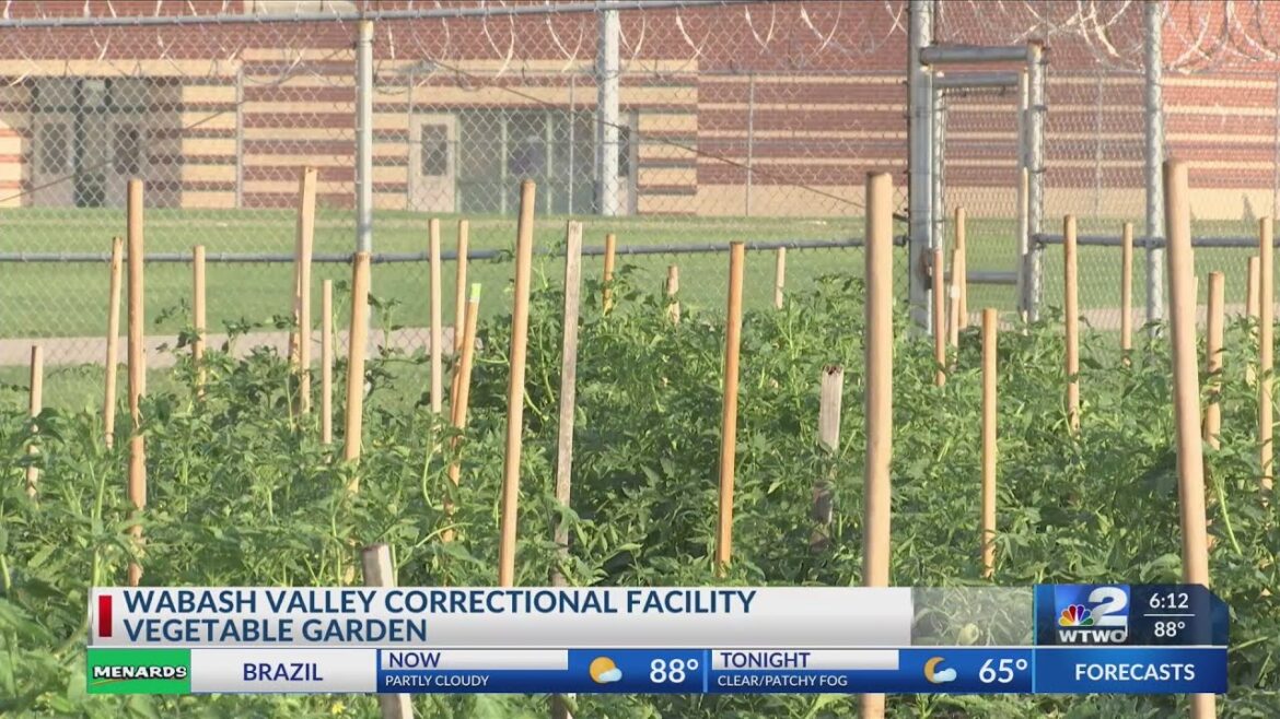 Wabash Valley Correctional Facility Vegetable Garden Wabash Valley Correctional Facility Vegetable Garden