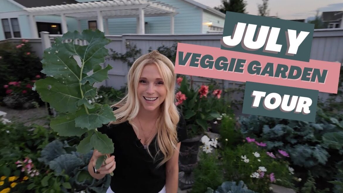 Backyard Vegetable Garden Tour in July 2024 – raised veggie beds Backyard Vegetable Garden Tour in July 2024 - raised veggie beds