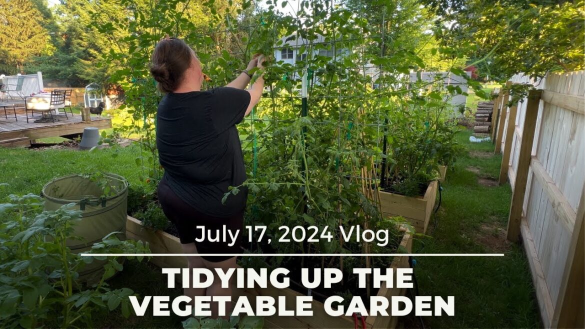 Tidying up the Vegetable Garden Tidying up the Vegetable Garden