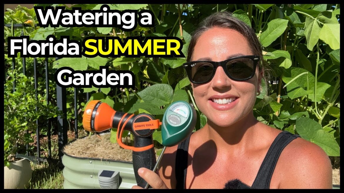 How to Efficiently Water Your Vegetable Garden in the Hot Florida Summer How to Efficiently Water Your Vegetable Garden in the Hot Florida Summer