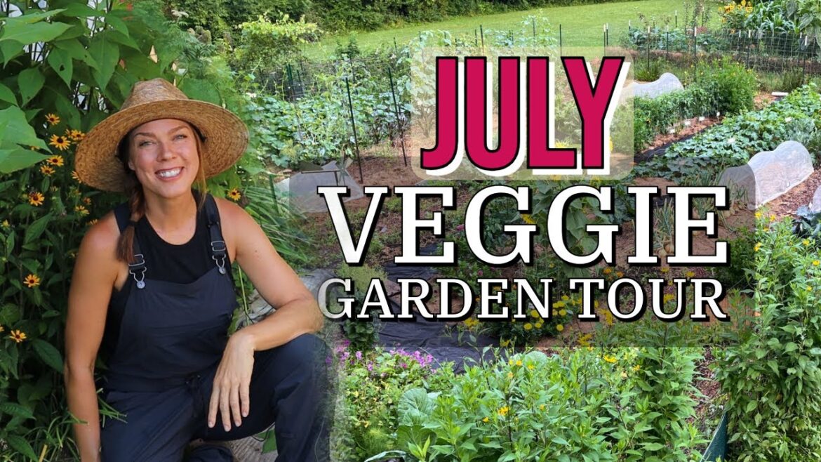 July Vegetable Garden Tour- Ohio 2024 July Vegetable Garden Tour- Ohio 2024