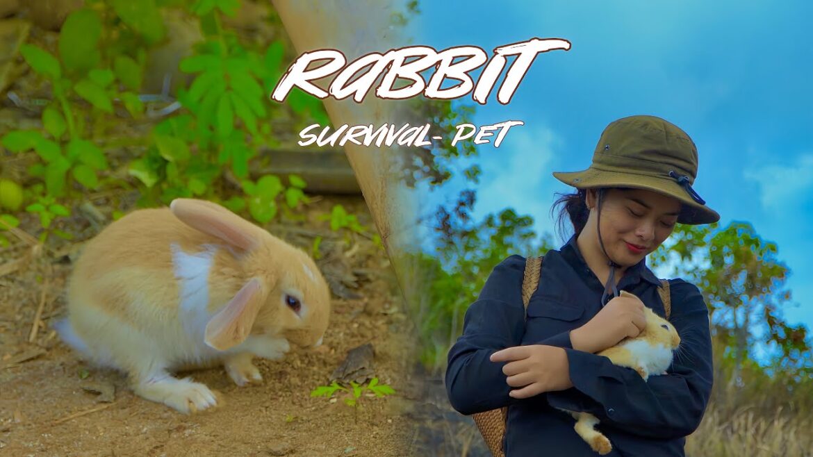 Farm – Harvest & Sell Galangal Roots, Meet the Rabbit, Vegetable Gardening, Mowing the Grass Farm - Harvest & Sell Galangal Roots, Meet the Rabbit, Vegetable Gardening, Mowing the Grass