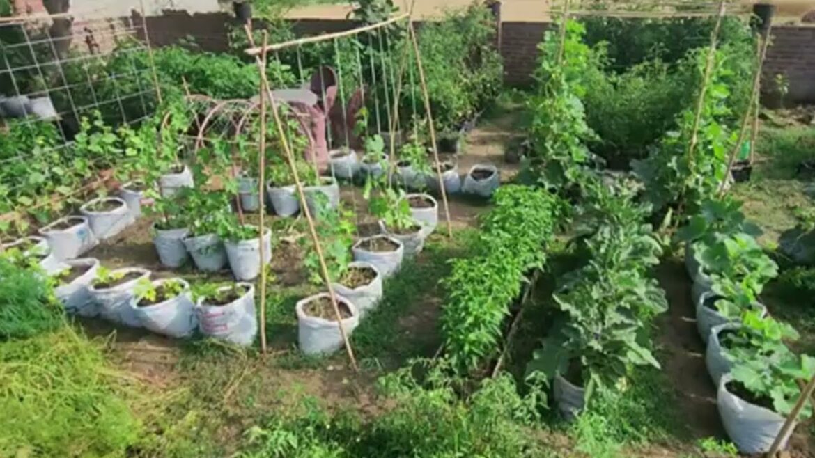 সবজি বাগানের জন্য আধুনিক পদ্ধতি।How to make a vegetable garden,#roof #gardening