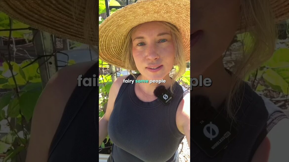 VEGGIE GARDEN LIFE -Episode 3  #gardening #inmypatch #vegetablegarden