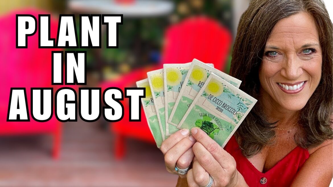 August’s 5 MUST Plant NOW Vegetables For Your Fall Garden August’s 5 MUST Plant NOW Vegetables For Your Fall Garden