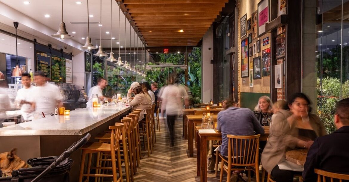 New Michelin Recommendations