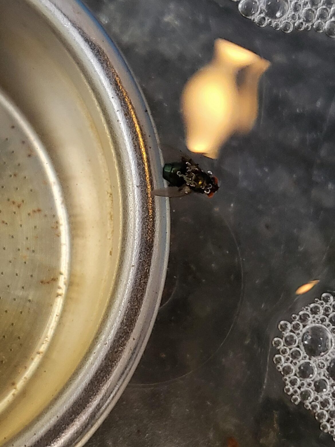 Insta-killed in cafiza 😬