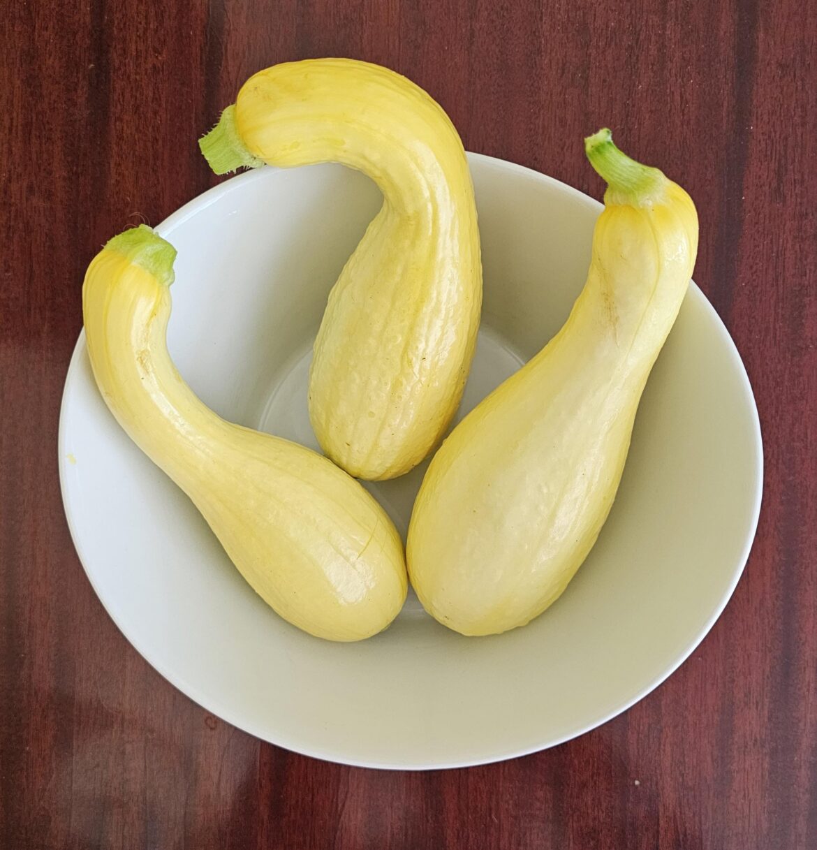 When a recipe says yellow squash does that include yellow crookneck squash?
