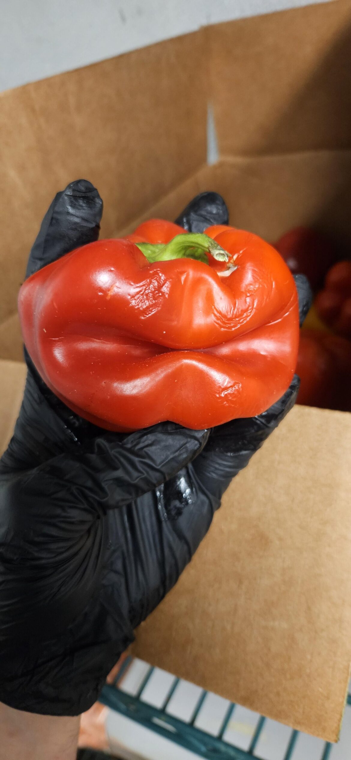 The sorting pepper will divide you into your stations