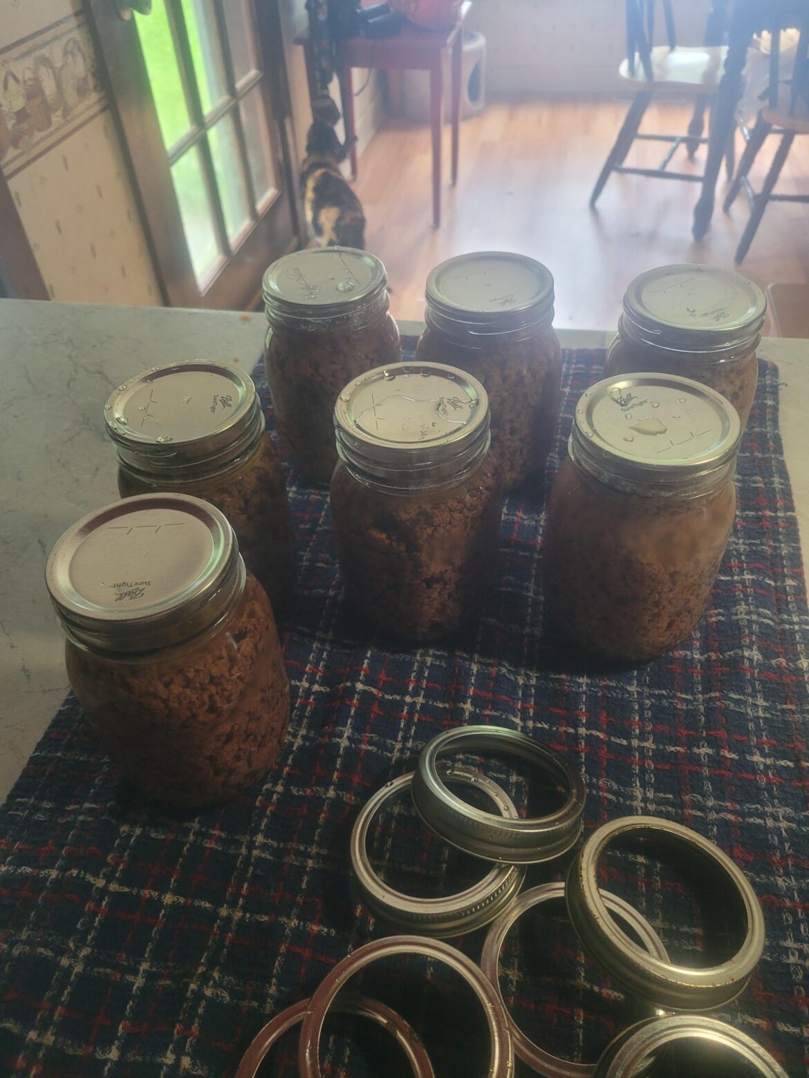 4 pints of ground pork and 3 pints of ground bear I canned last night