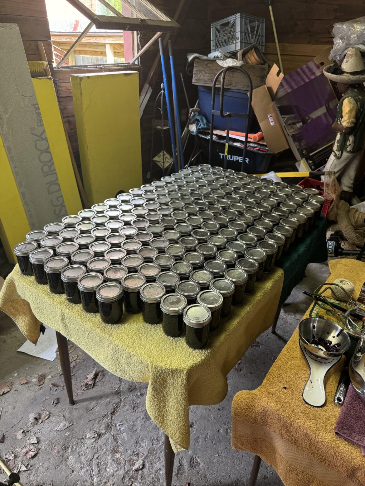 Made some jam today Made some jam today