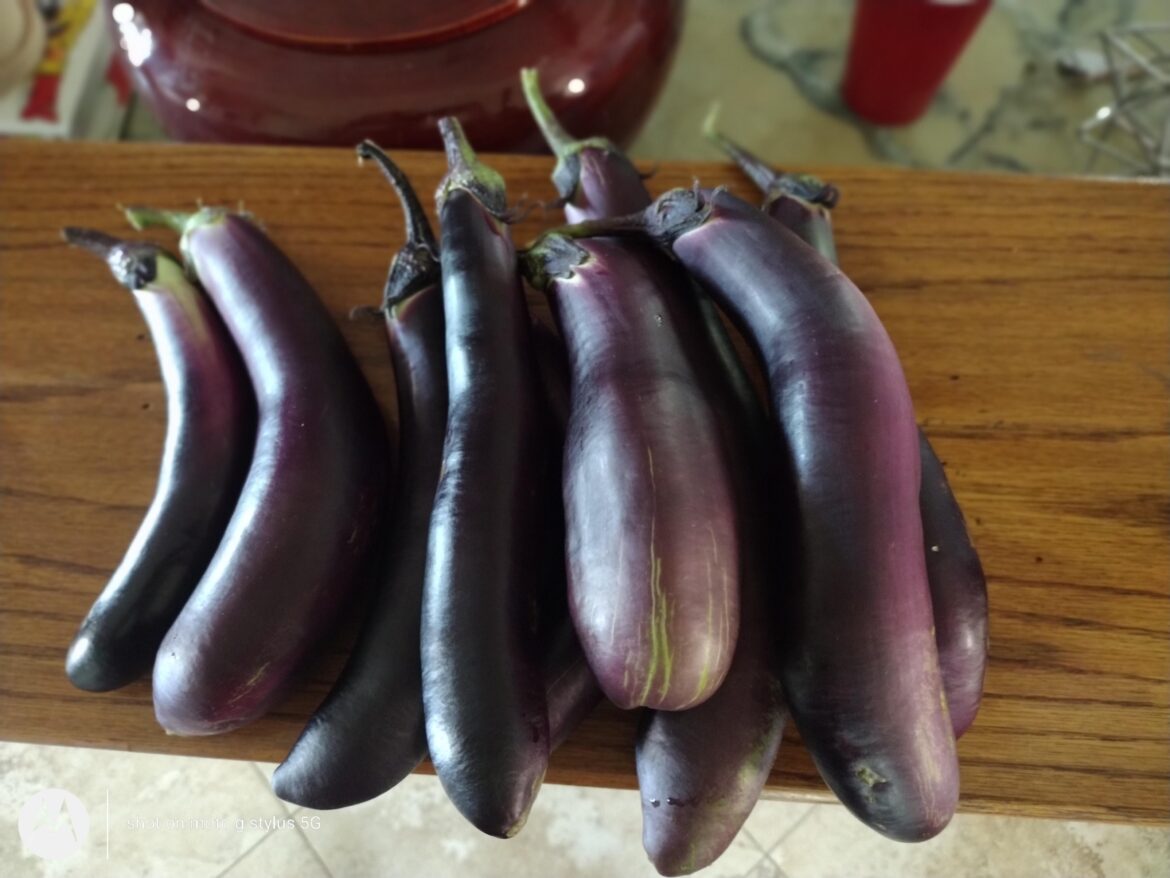 Recipes w/Japanese Eggplant