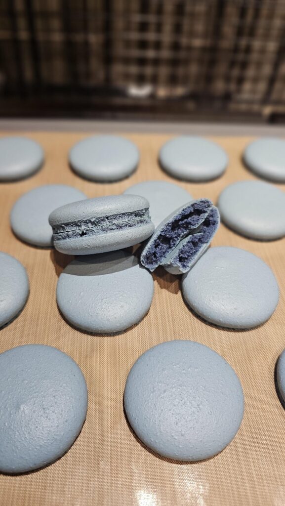 Chambray colored shells, my new fav 😍