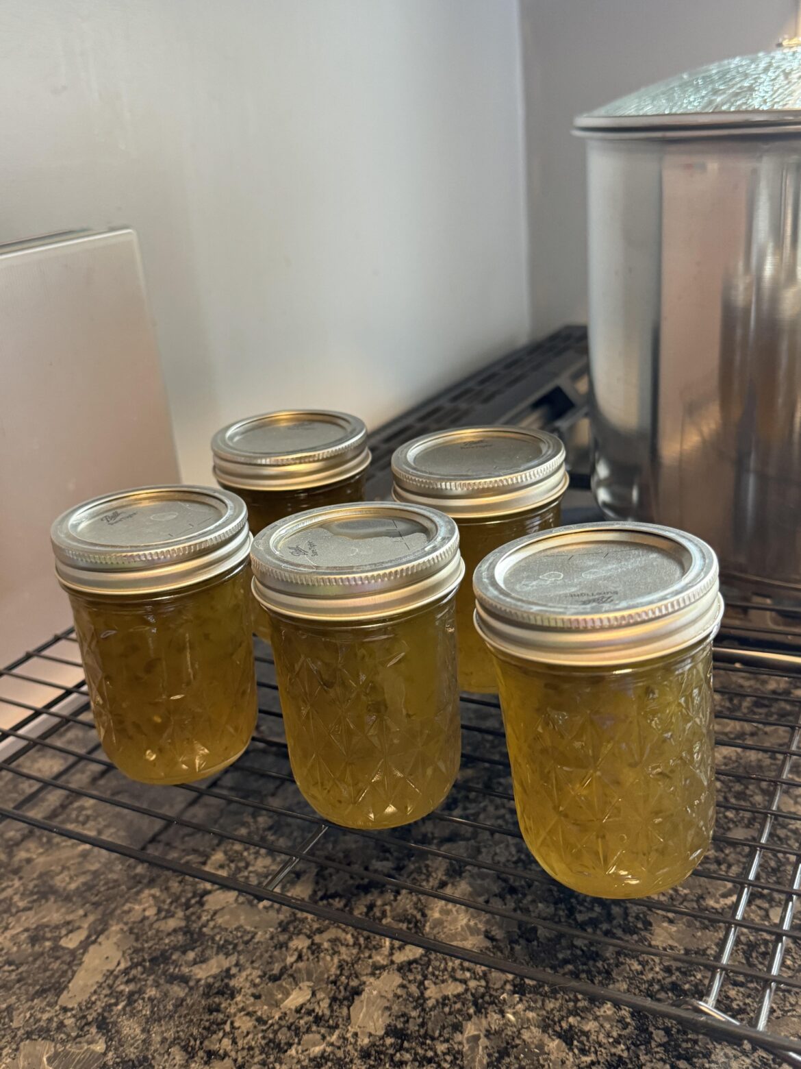 First ever time canning! I made jalapeño jelly.