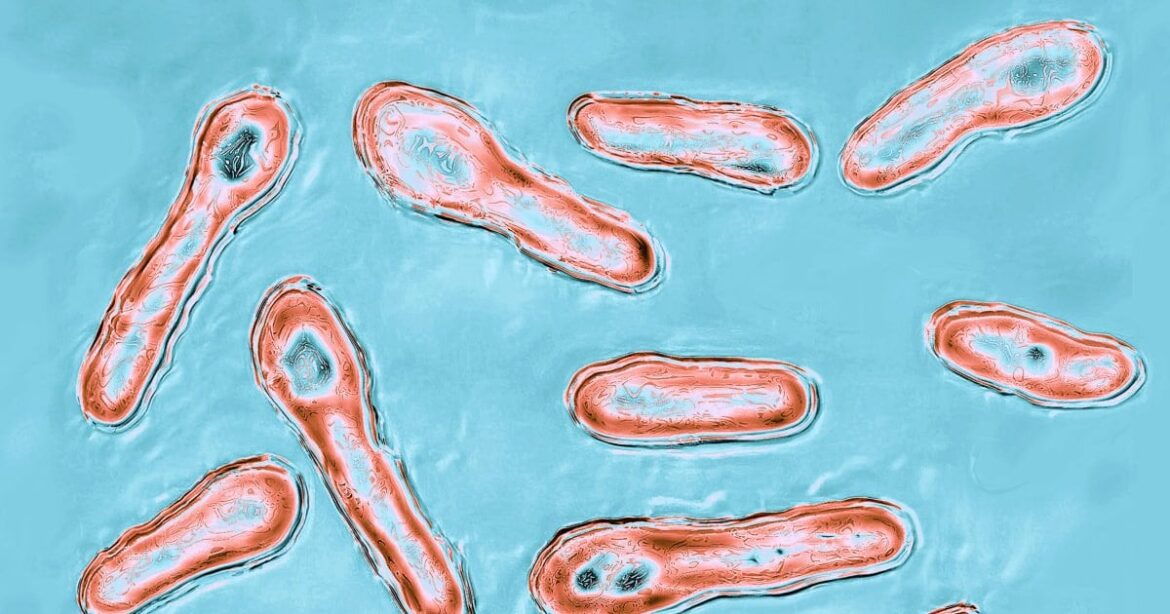 A sad and scary warning story