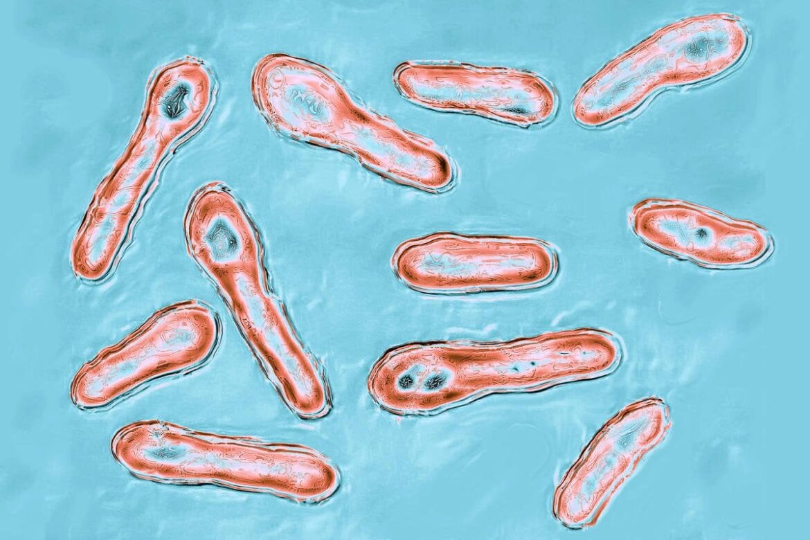 Just a reminder of why its important to follow safe recipes Just a reminder of why its important to follow safe recipes