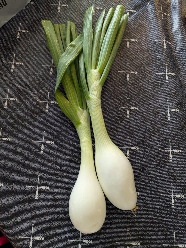 Some whites from the farmers market