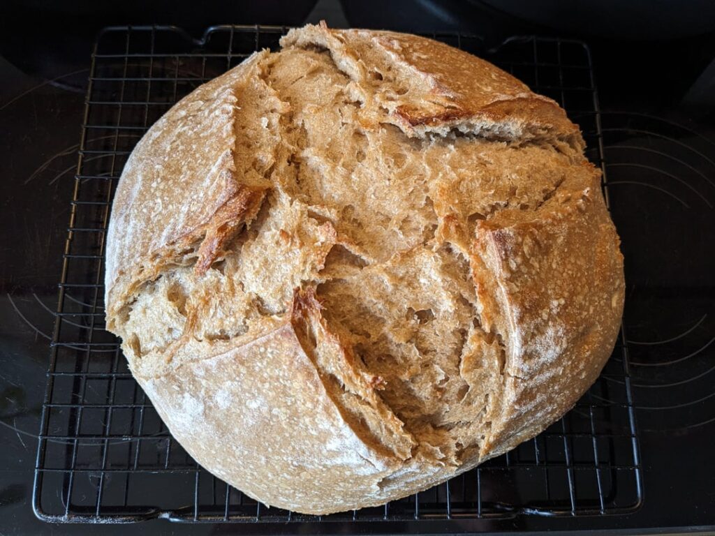 Rye country bread from a recovered sourdough starter